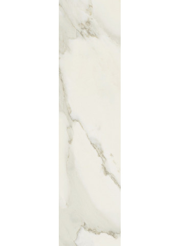Calacatta gold Matte Ret. 30x120