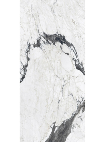 Calacatta altissimo blanc Glossy Ret. 120x280