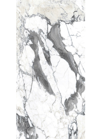 Calacatta altissimo blanc Glossy Ret. 120x240