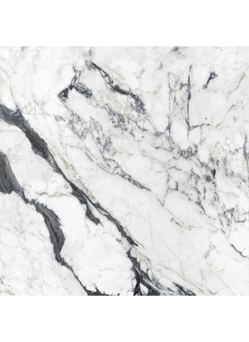 Calacatta altissimo blanc Glossy Ret. 160x160
