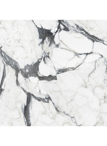 Calacatta altissimo blanc Glossy Ret. 120x120