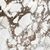 Les Bijoux de Rex Breche capraia Matte Ret. 120x240