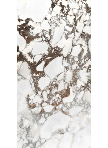 Breche capraia Glossy Ret. 120x240