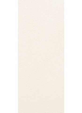 Bianco Matt 25x60