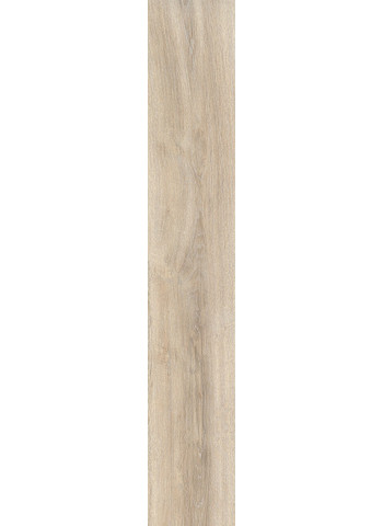 Korina 20-120