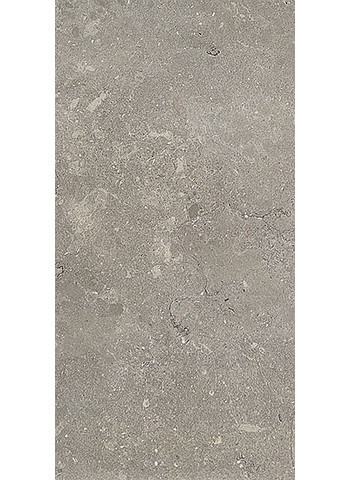 Light Grey Naturale Ret. 60x120