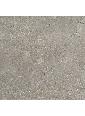Light Grey 60-60