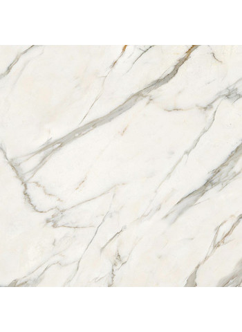 Calacatta Effect 120-120